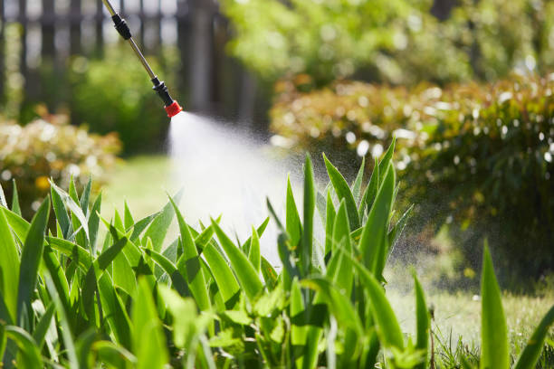 24/7 Emergency Ant Control experts in Necedah, WI